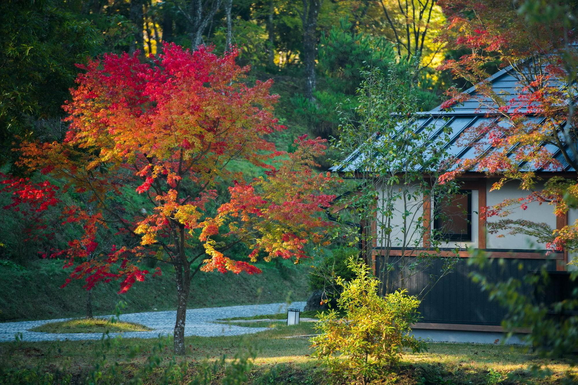 Miyama Sansou Hotel Минамиогуни Екстериор снимка