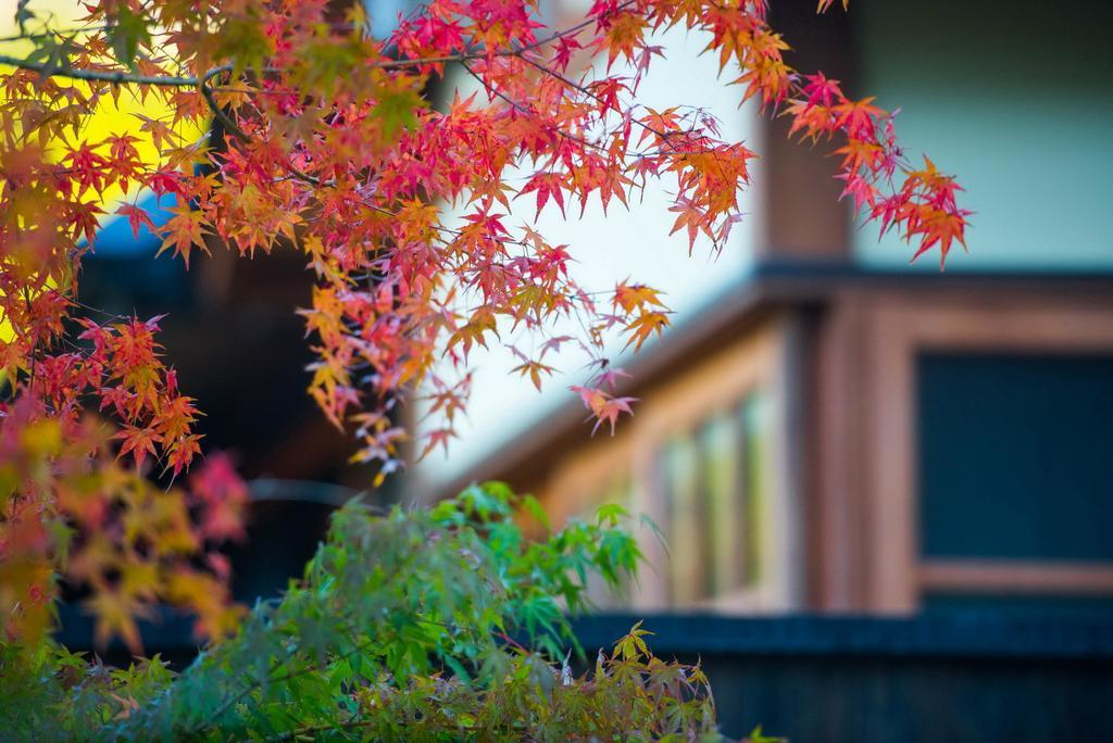 Miyama Sansou Hotel Минамиогуни Екстериор снимка